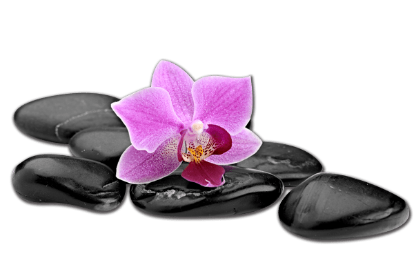 Boks 1 czarne kamienie różowy kwiat